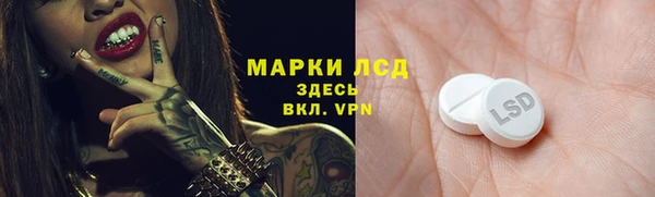 мет Алексин