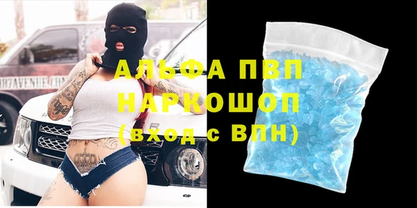мет Алексин